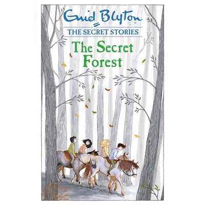 Enid Blyton The Secret Series: 4 Book Box Set | The Works