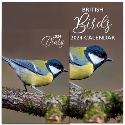 2024 Birds Calendar and Diary Set From 0.25 GBP | The Works