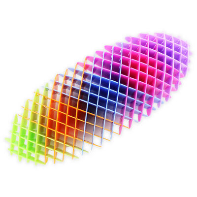 Rainbow Warp Worm Fidget Toy image number 3