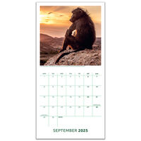 2025 Official BBC Planet Earth 3 Calendar