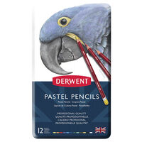 Derwent Pastel Pencils: Tin of 12