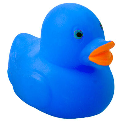 Neon Rubber Duck: Assorted image number 1