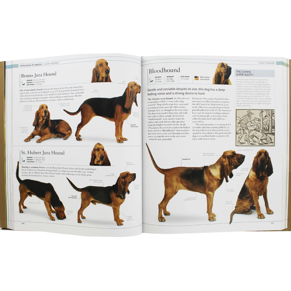 the dog encyclopedia