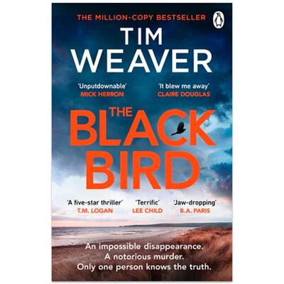 The Blackbird image number 1