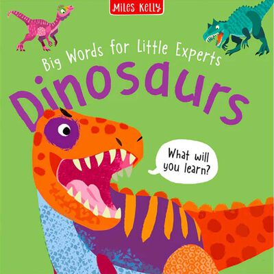 Dinosaurs: Big Words for Little Experts image number 1