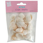 Craft Shells: Pack of 40 image number 1