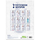 2024 A3 Tottenham FC Calendar image number 3
