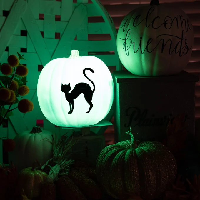 Glow In The Dark Pumpkins