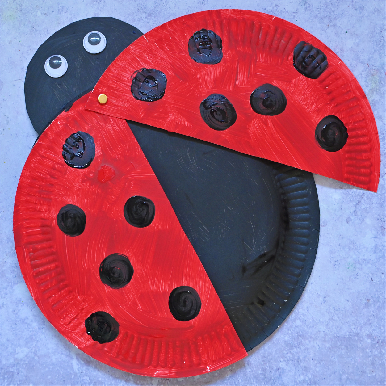 Ladybird craft