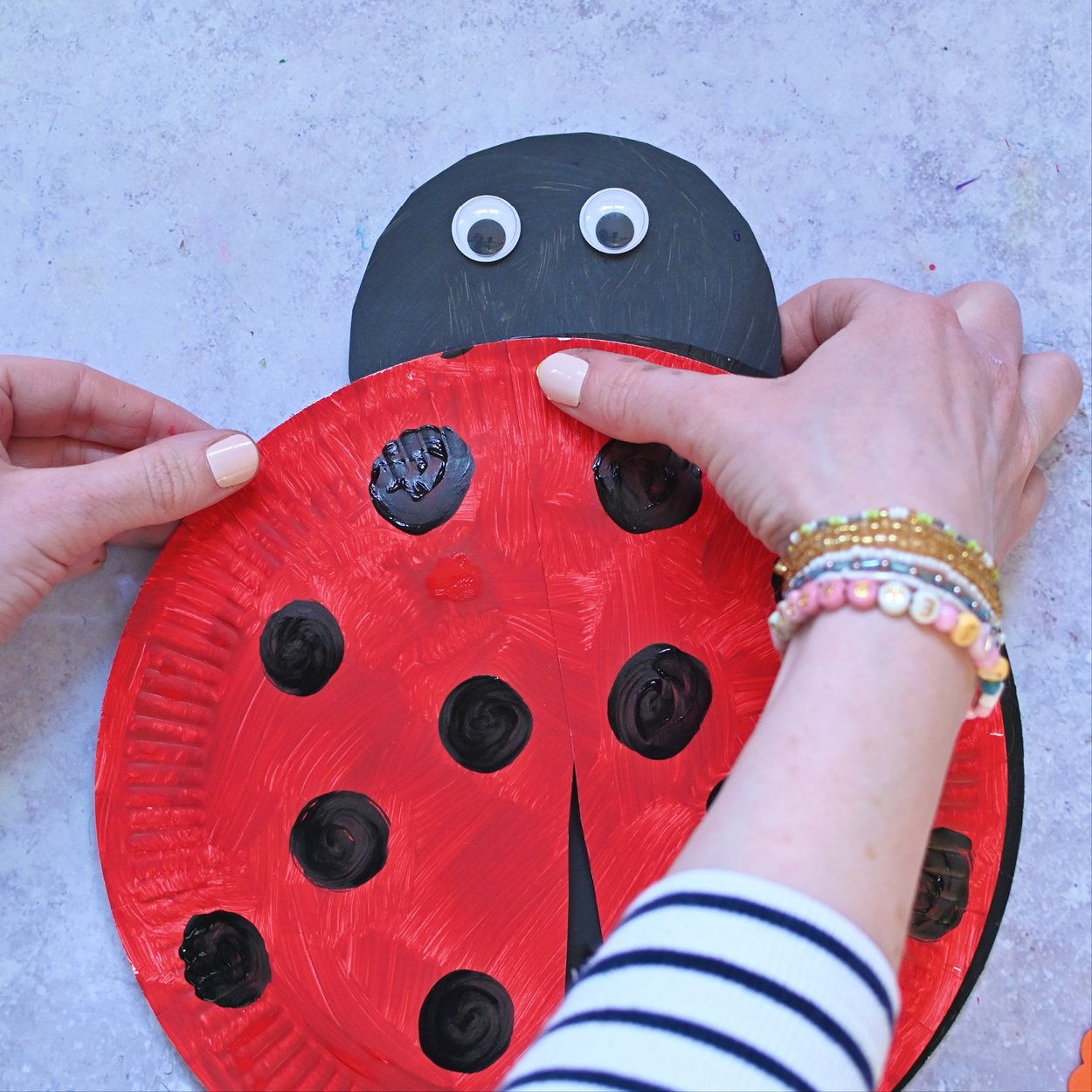 Ladybird craft