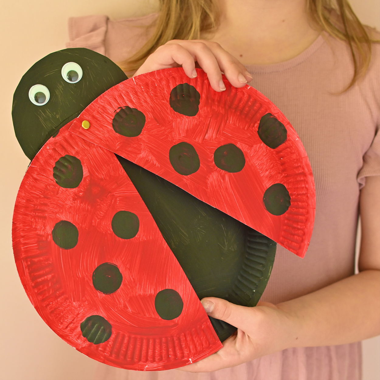 Up-cycled Ladybird