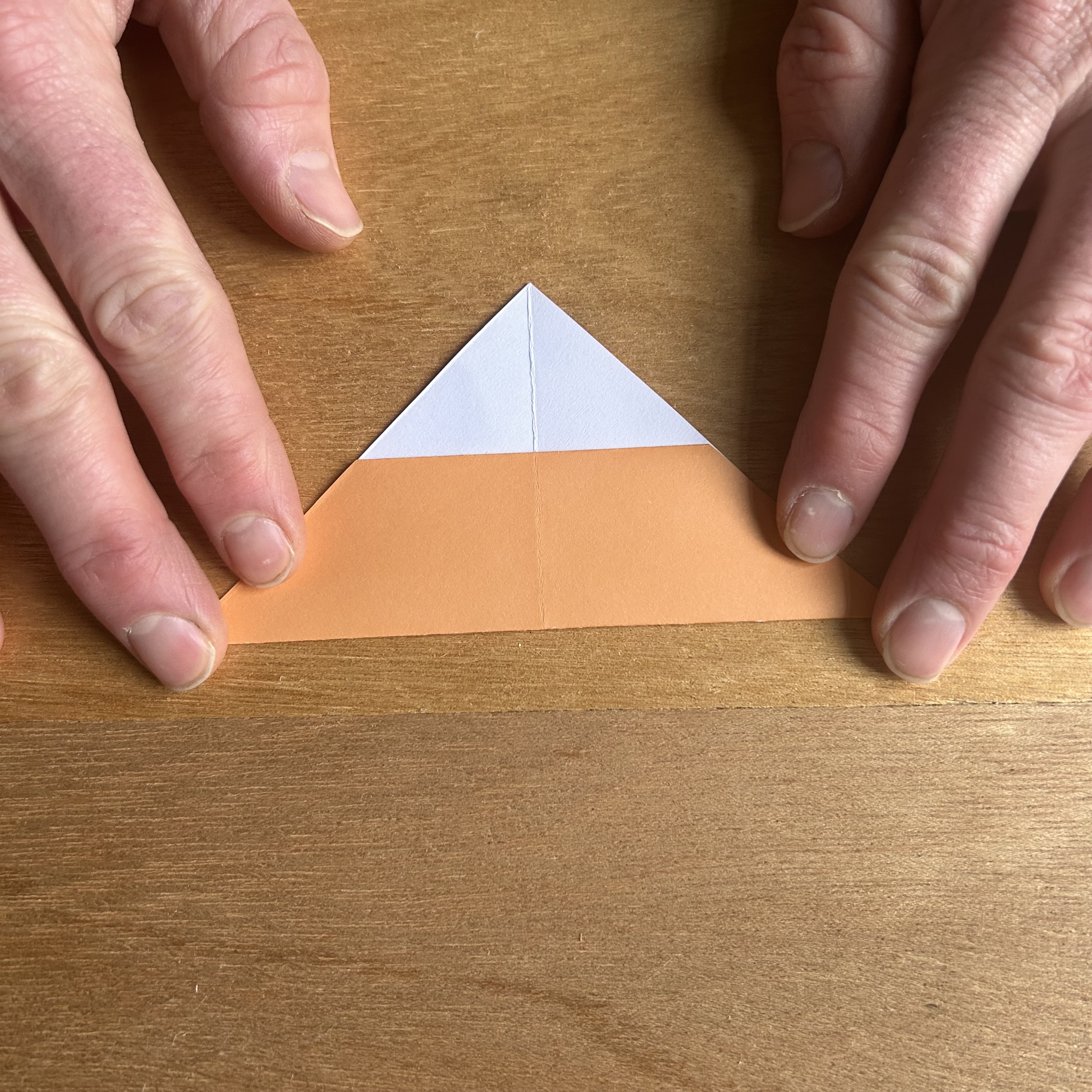 Easy Origami Fox Step 4