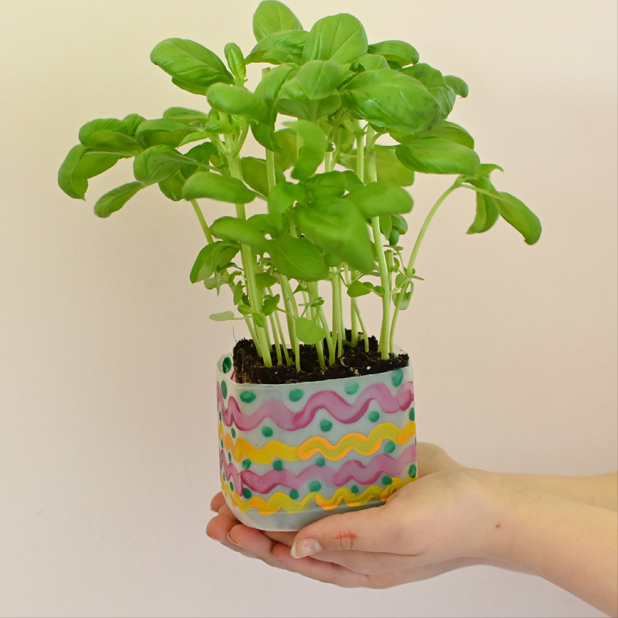 Up-cycled Flower Pot