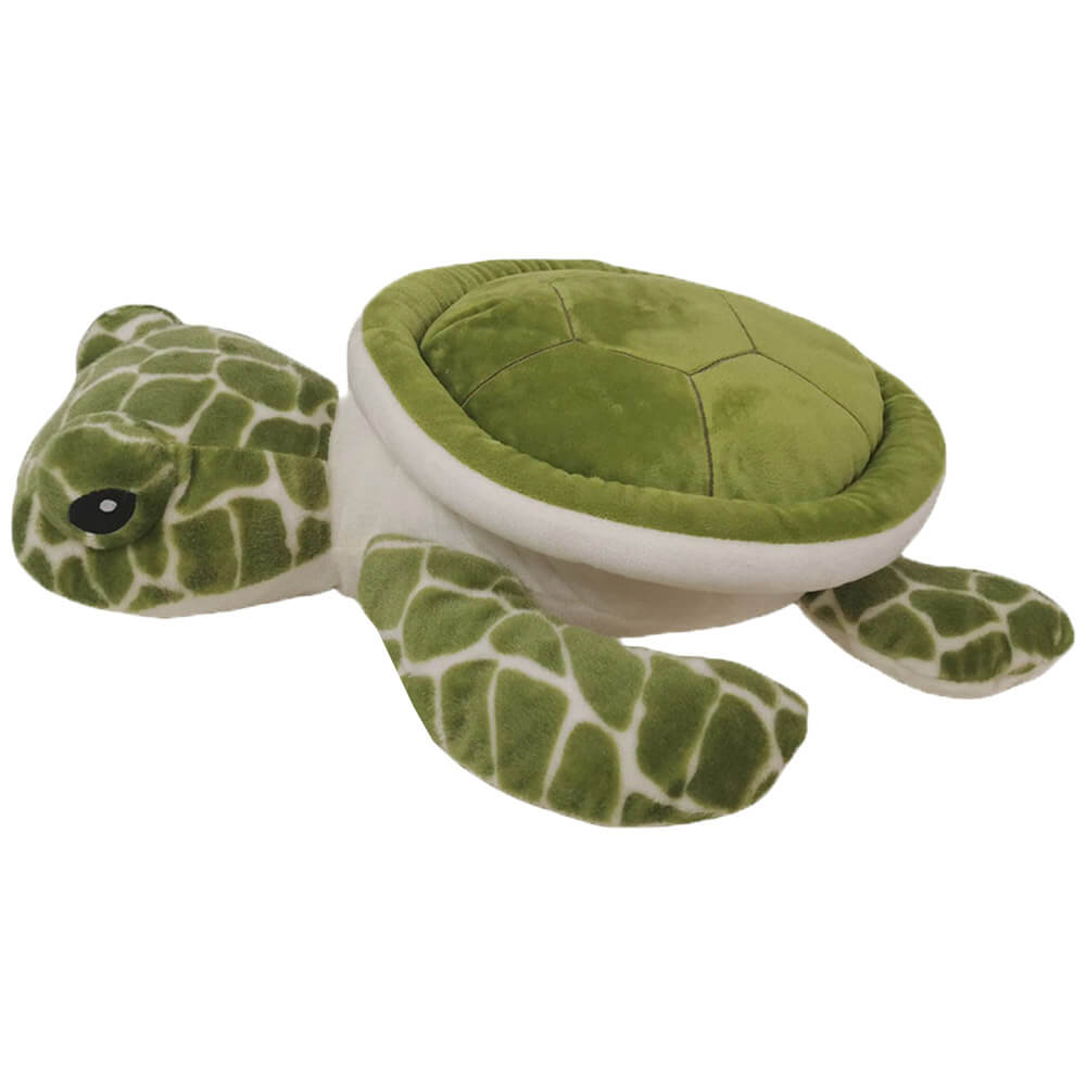 PlayWorks Turtle Toy